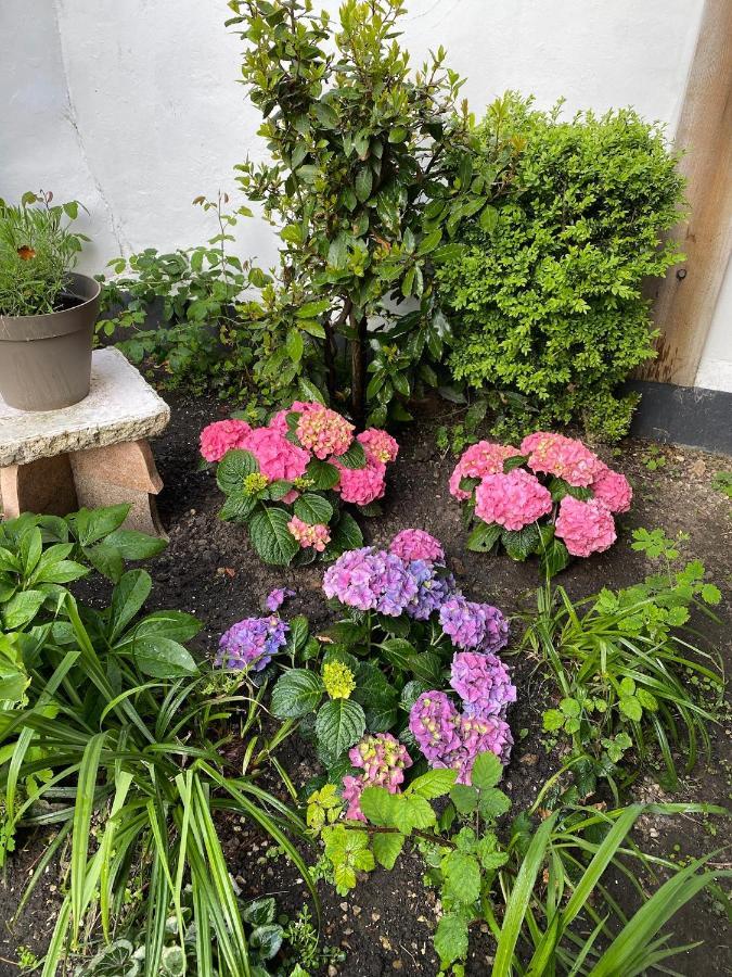 Vivier 4 Personnes Confort Apartment